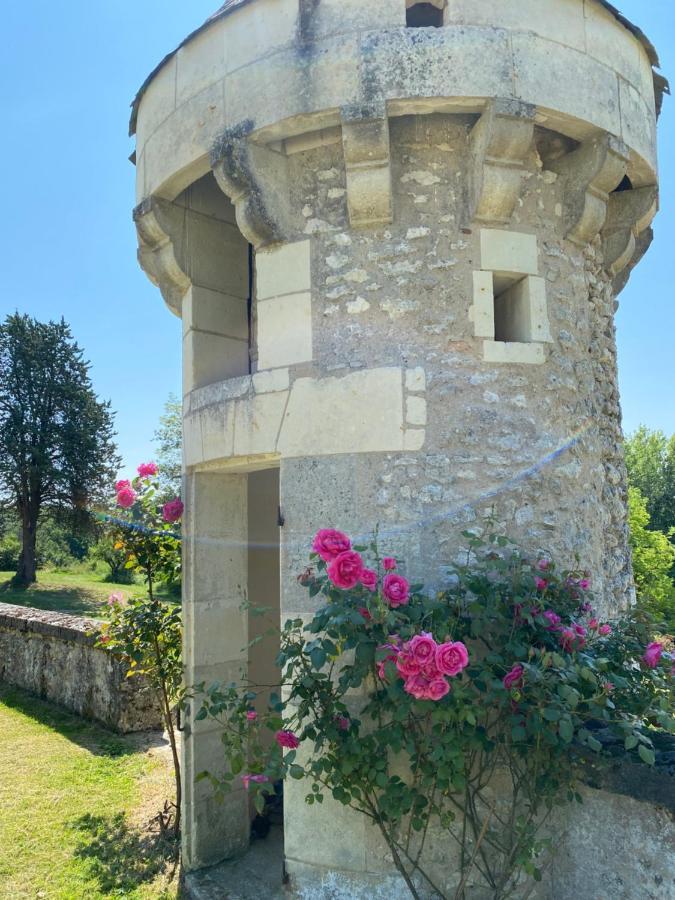 Villa Domaine De Migny à Saint-Cyran-du-Jambot Extérieur photo